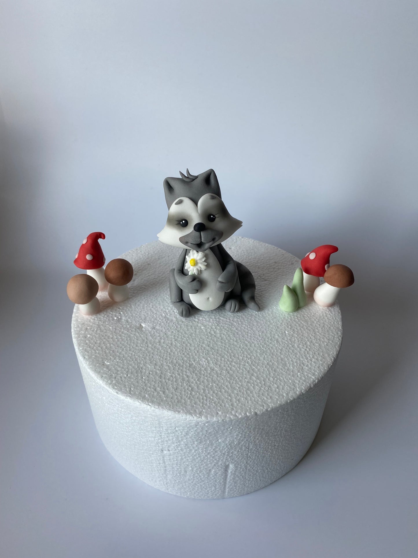 Waschbär Willi