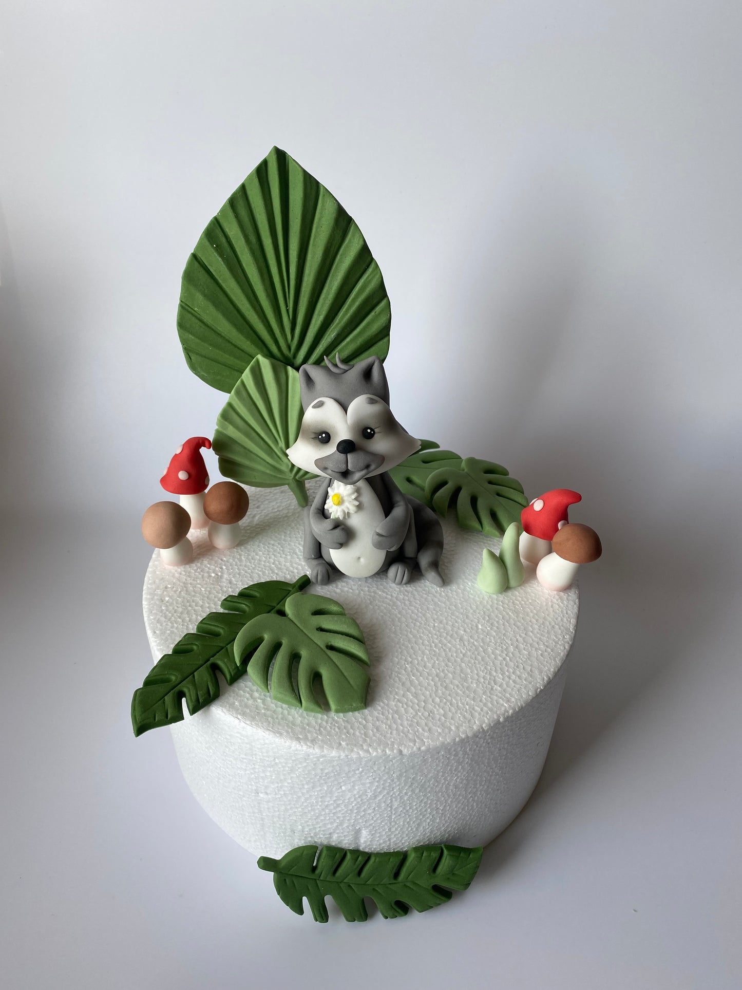 Waschbär Willi