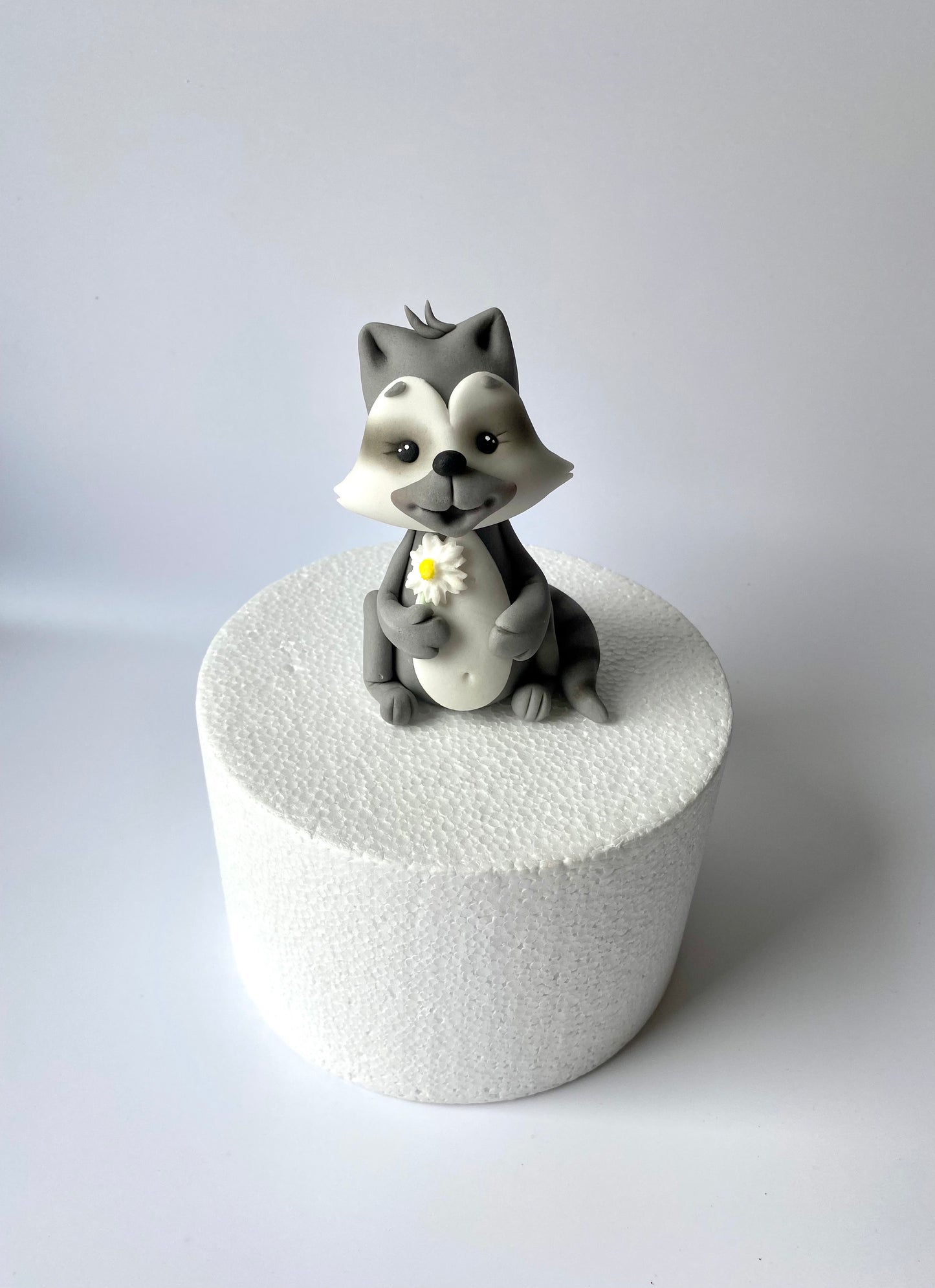 Waschbär Willi