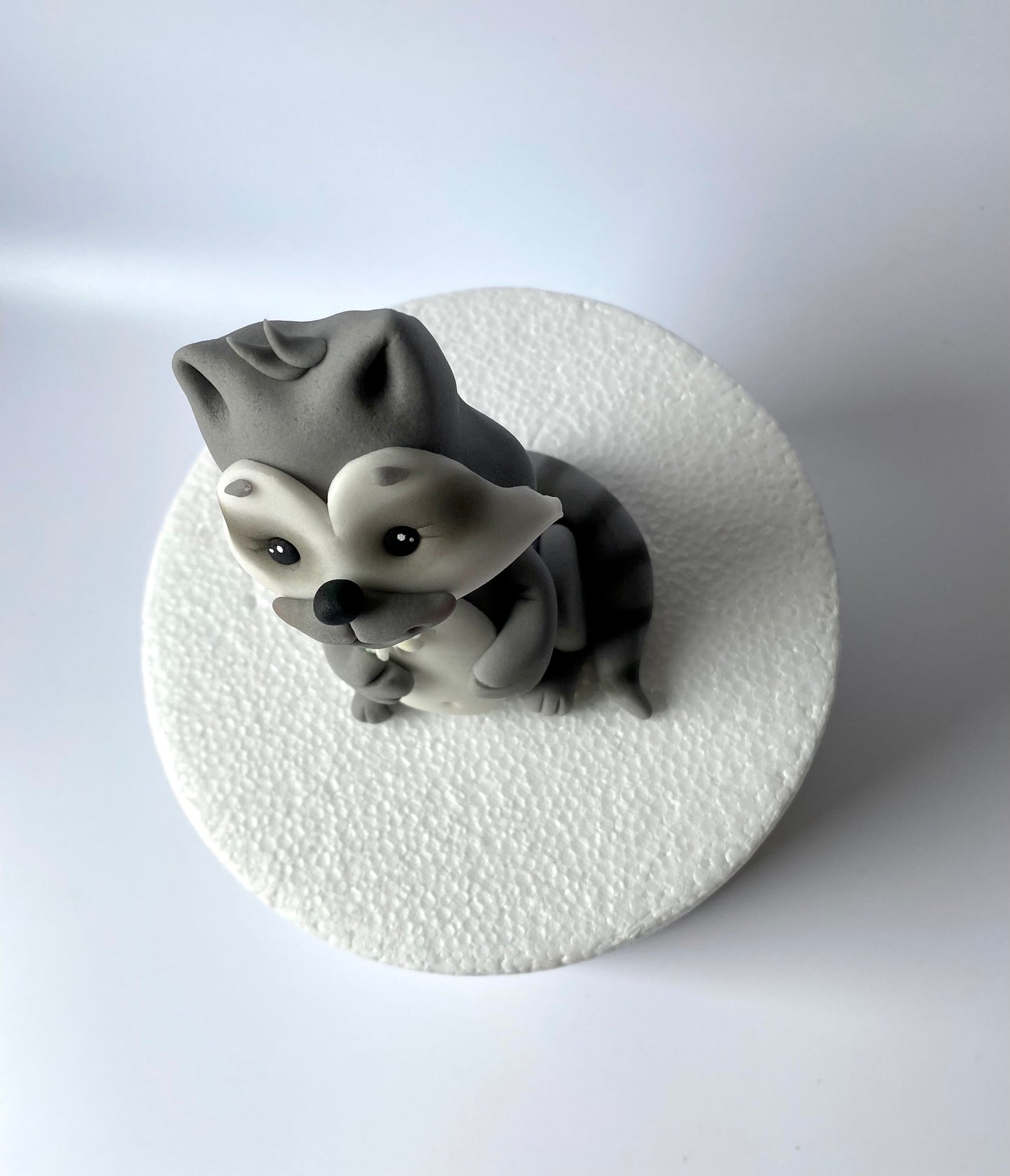 Waschbär Willi