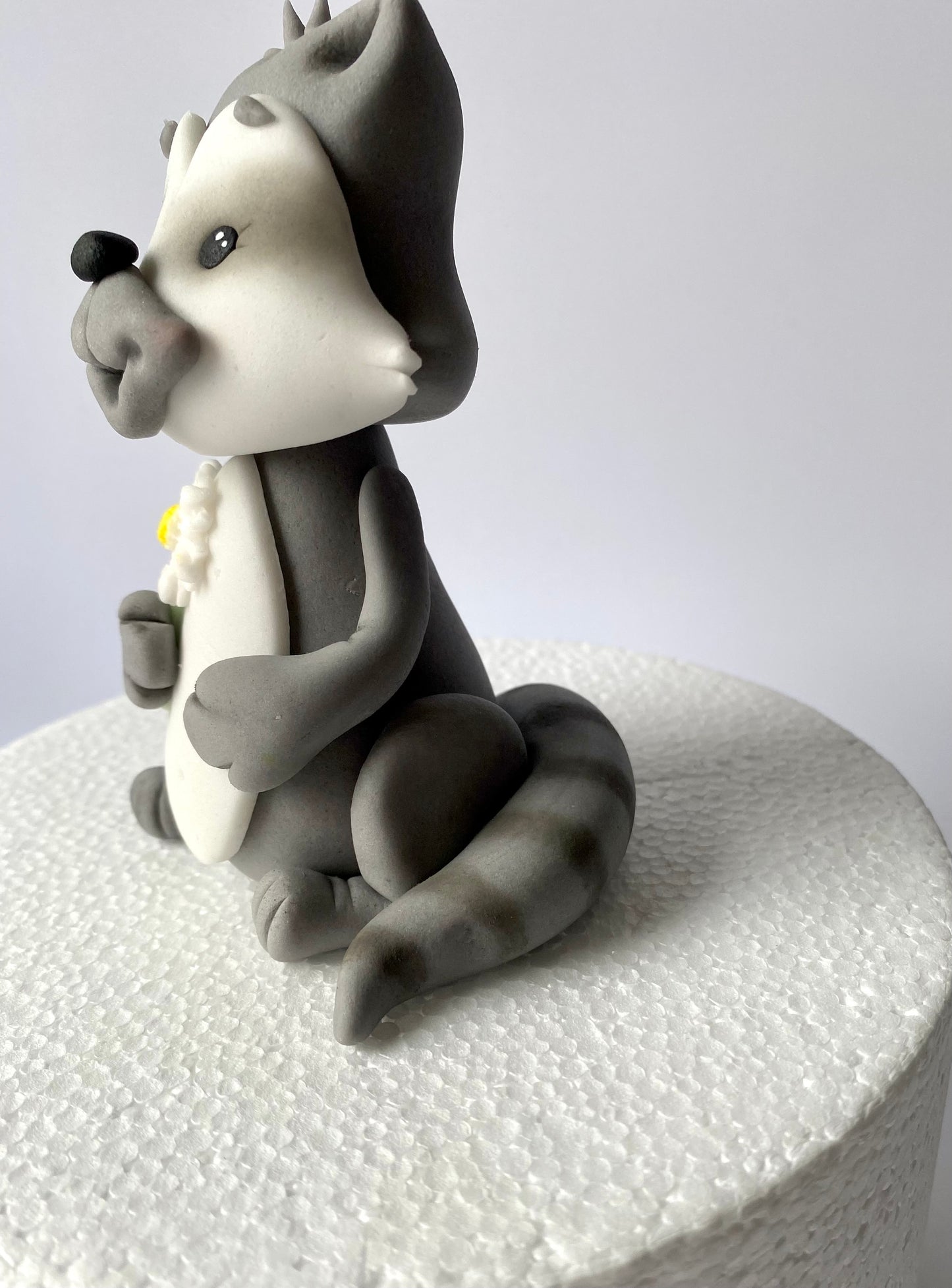 Waschbär Willi