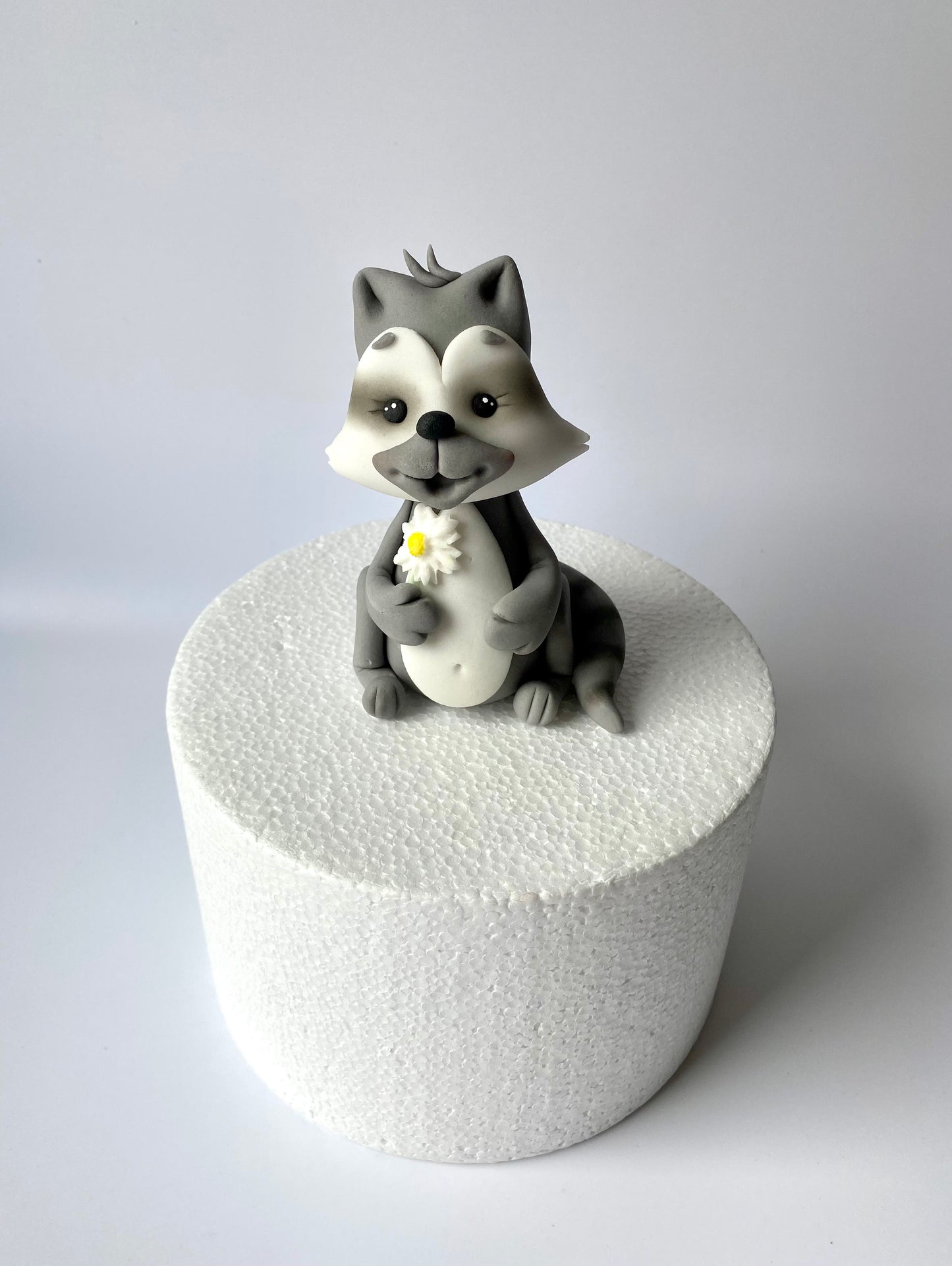 Waschbär Willi
