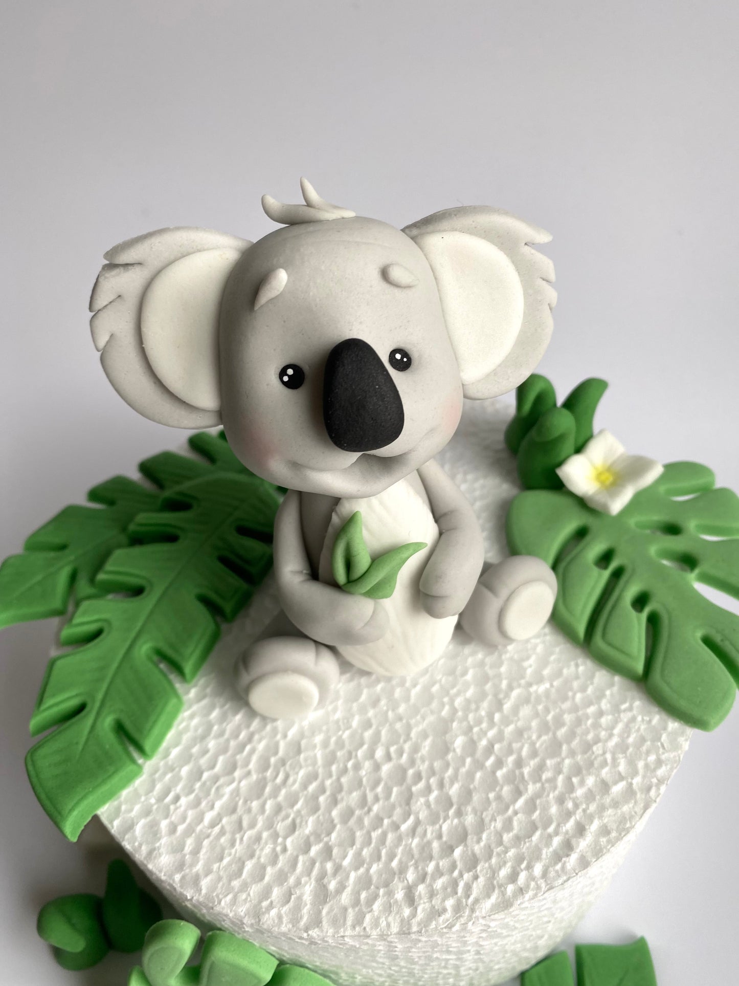 Koala Kurt