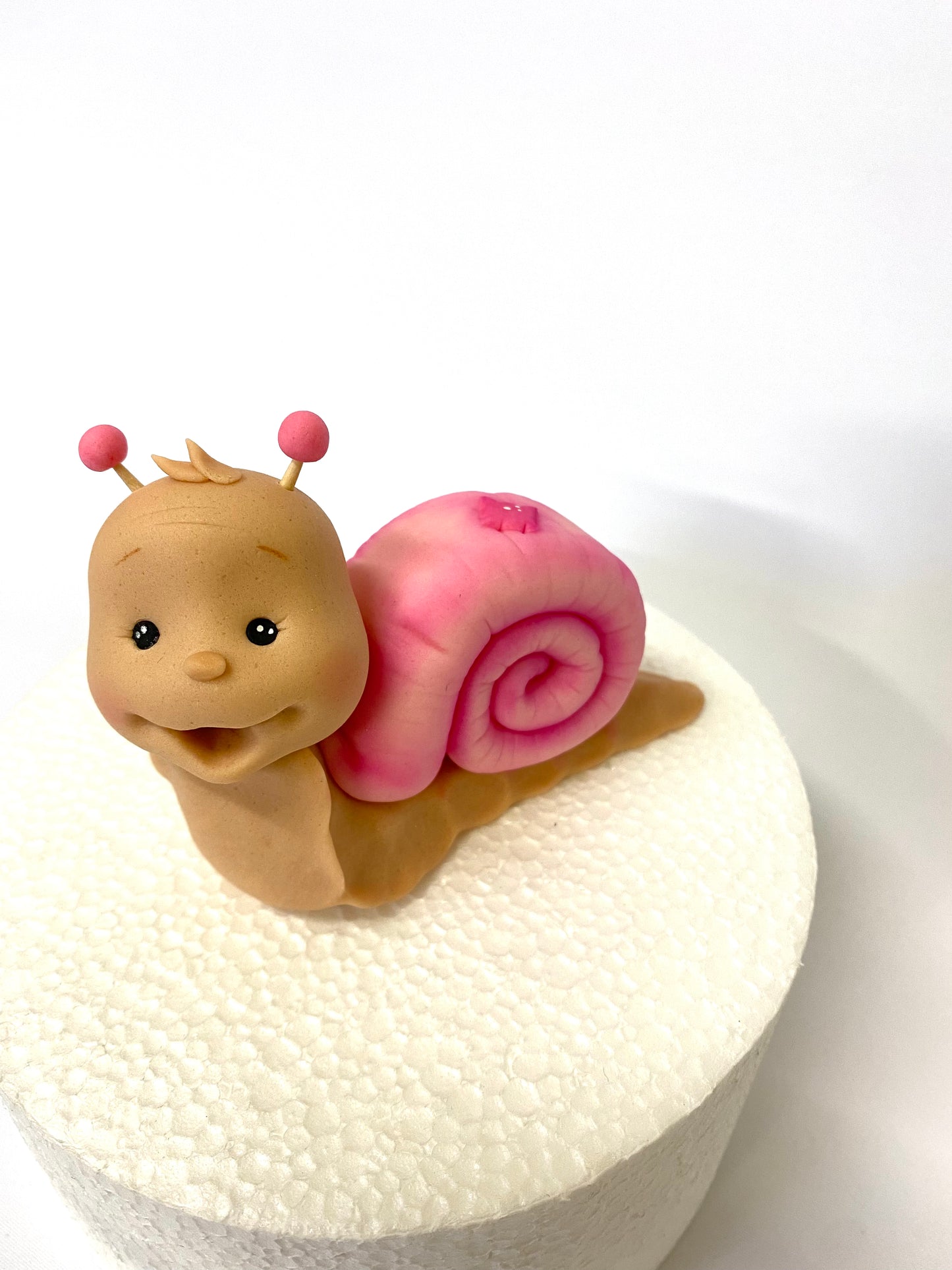 Schnecke rosa