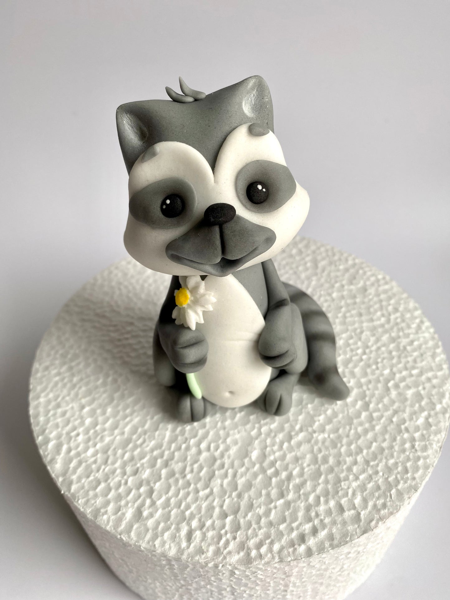 Waschbär Willi