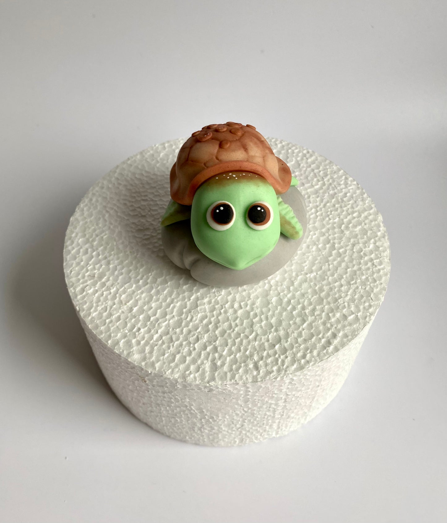 Schildkröte Sascha