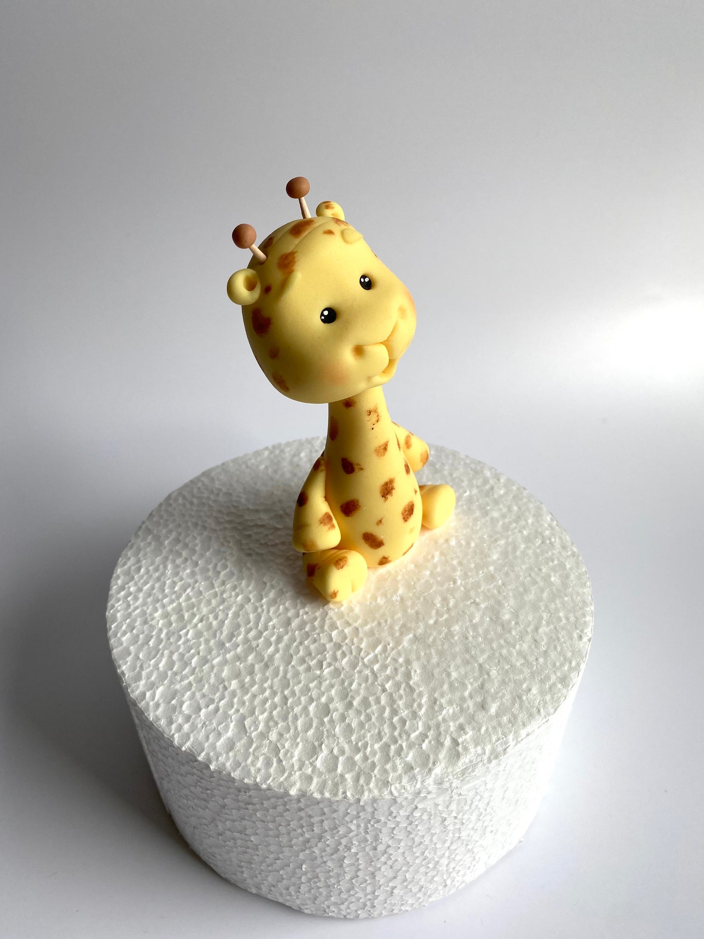 Giraffe Gisbert
