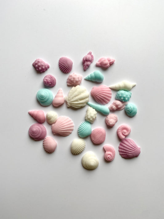 Muscheln / 25 Stück