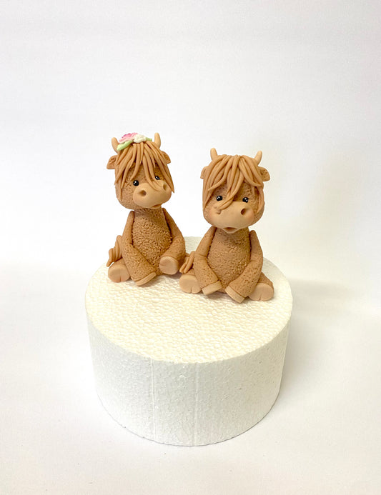 Hochlandrind Richard