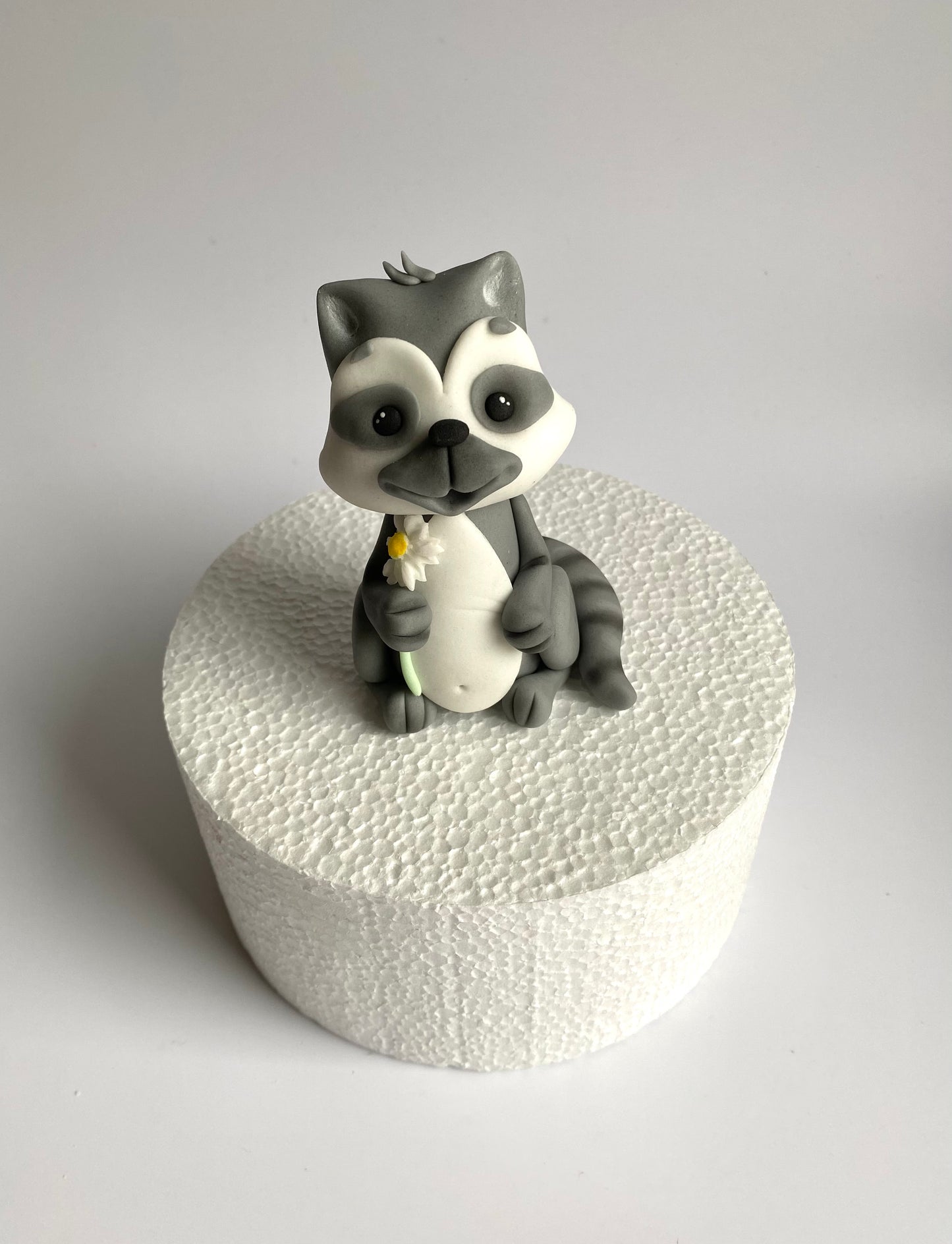 Waschbär Willi