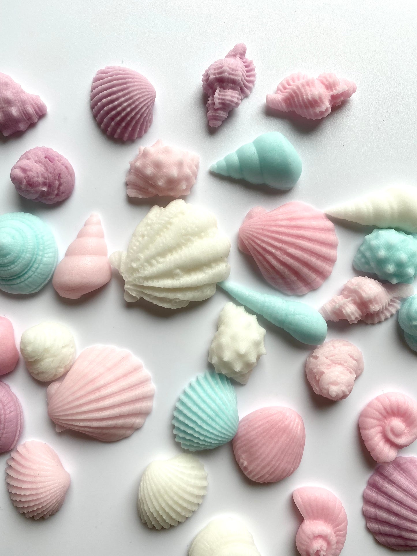 Muscheln / 25 Stück