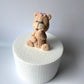 Teddy Thea